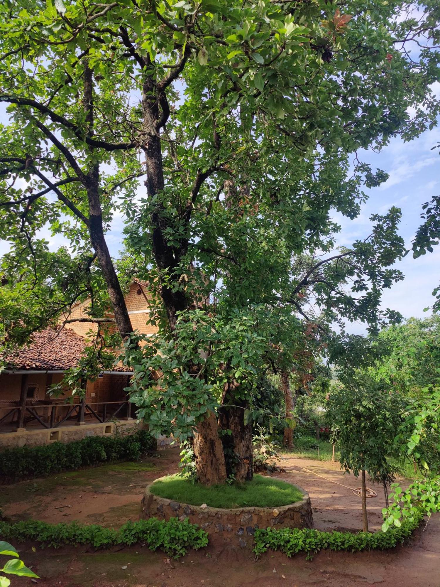 Surwahi Social Ecoestate Kanha Exterior photo