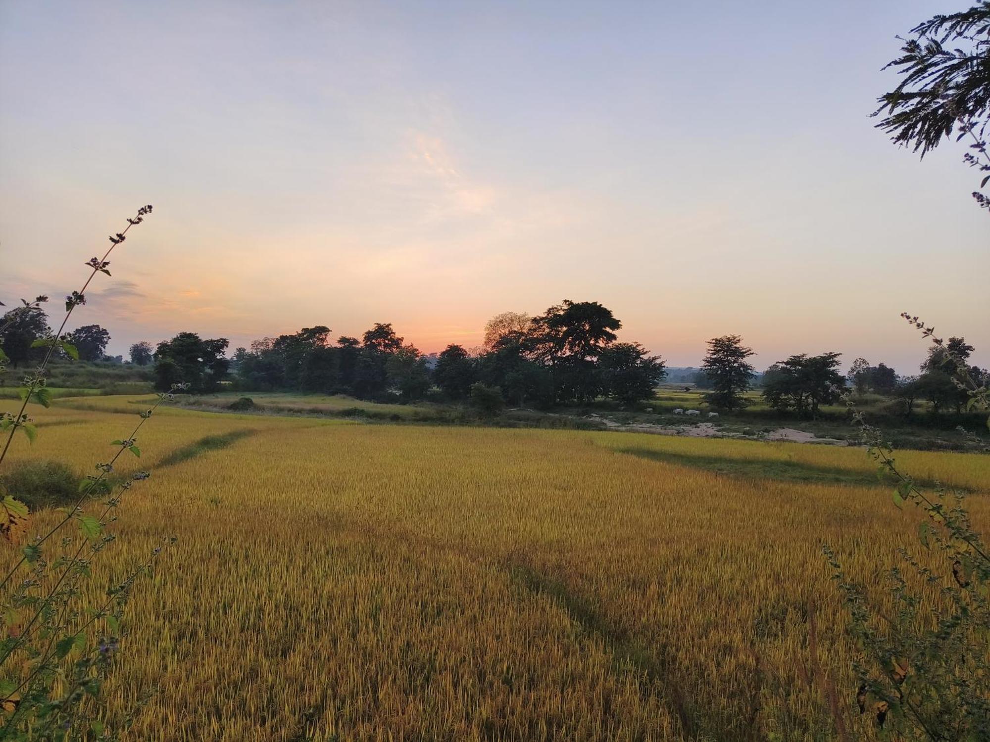 Surwahi Social Ecoestate Kanha Exterior photo